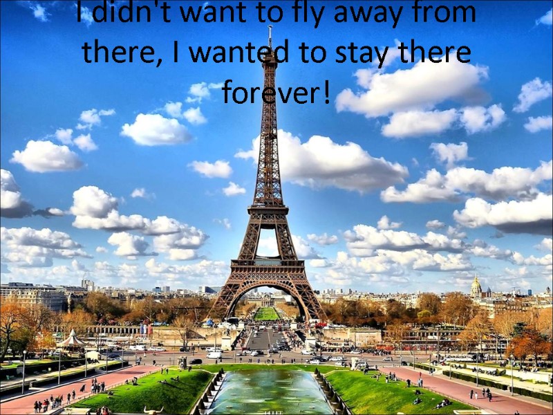 I didn't want to fly away from there, I wanted to stay there forever!